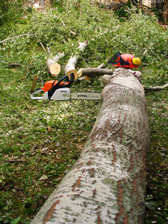 Sramatura e Sezionatura II, Stihl 280
