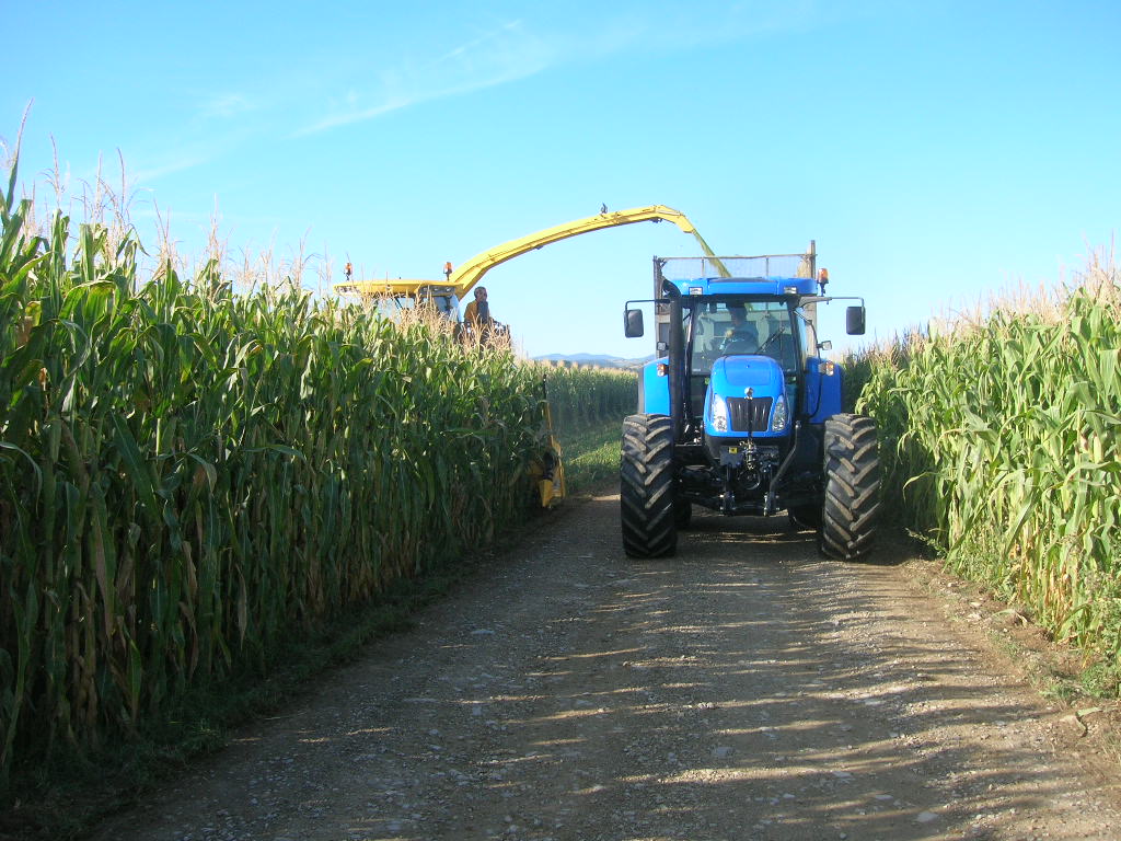 Apertura strade part 05