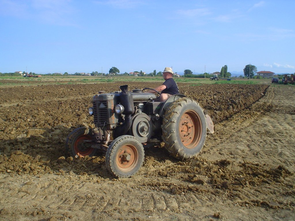 Landini