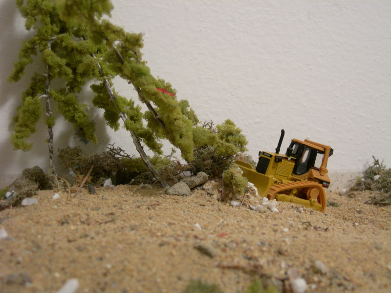 Diorama