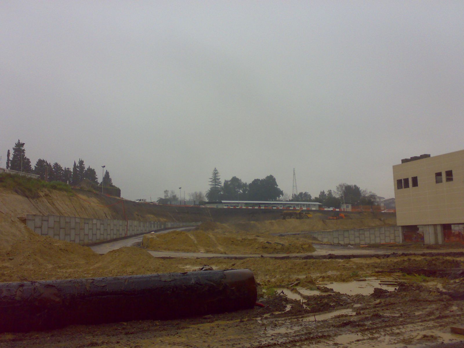 Auchan CATANIA .... nino 80