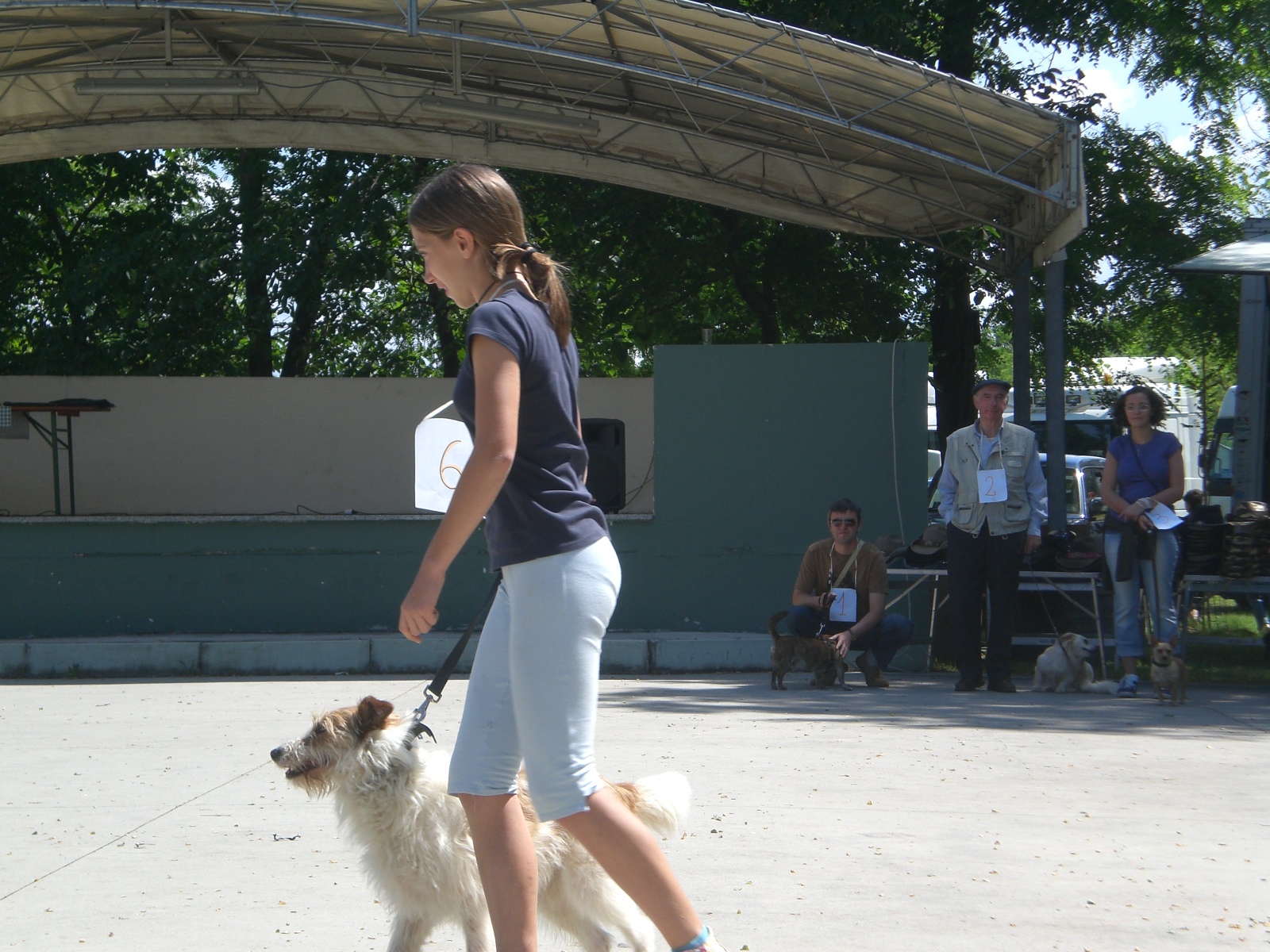 corcorso dei nostri cagnolini BASTARDINI