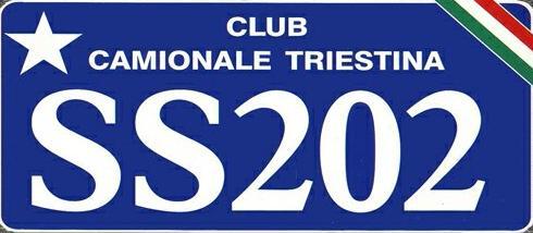 14/15 giugno 08 raduno SS202