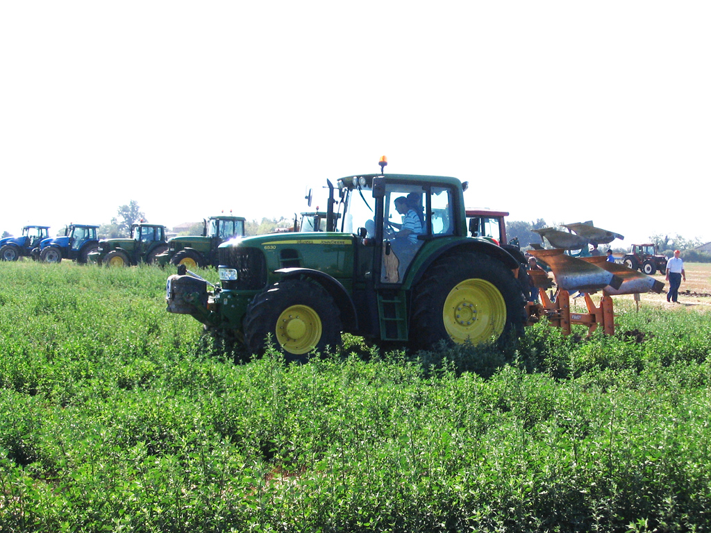 Gattatico RE 10/08/2008