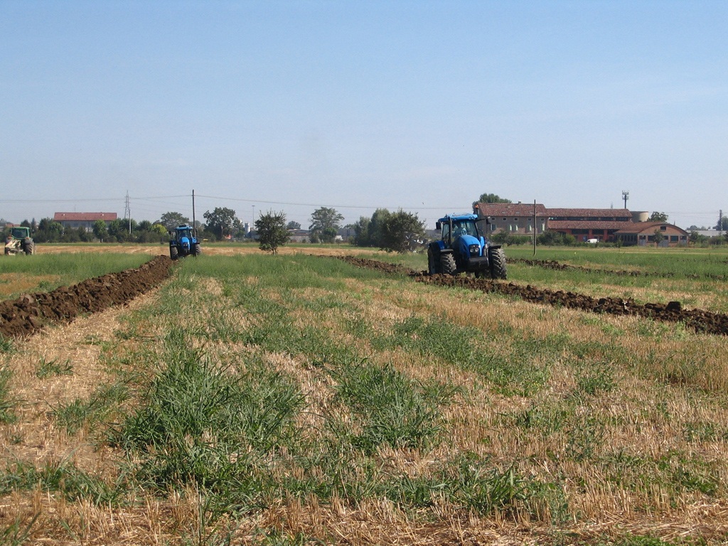 Gattatico RE 10/08/2008