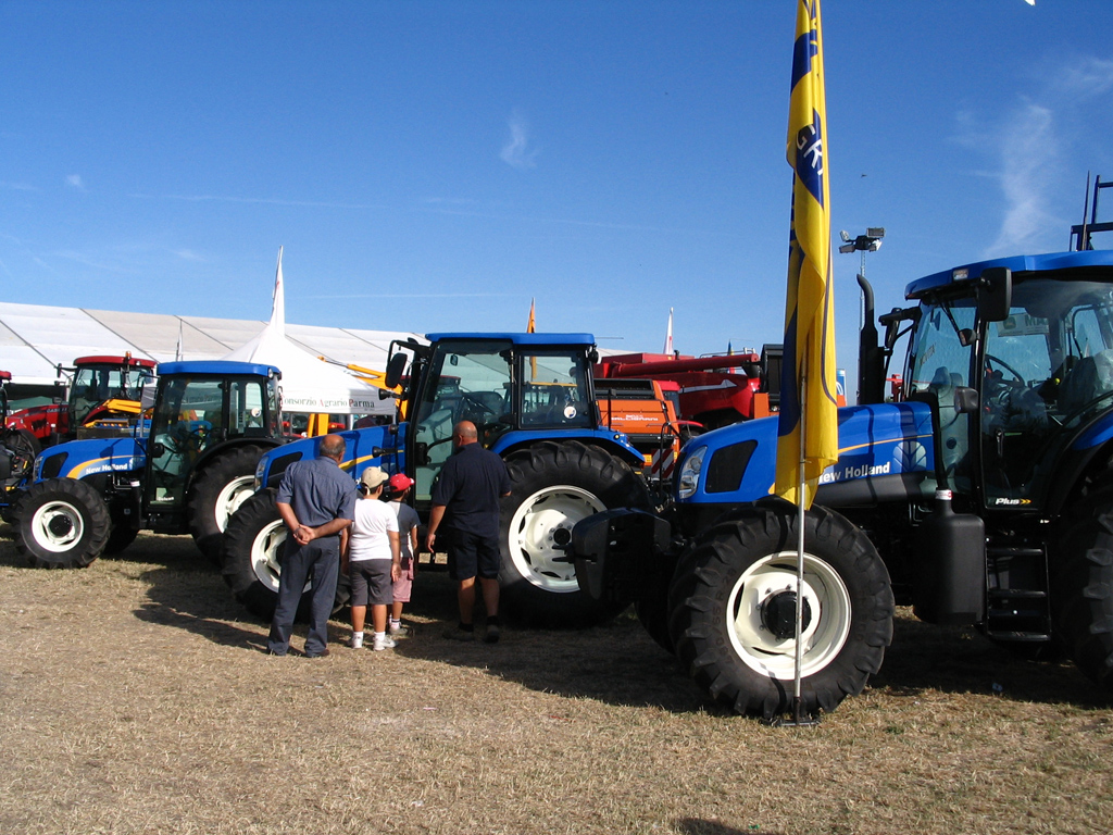 Gattatico RE 10/08/2008