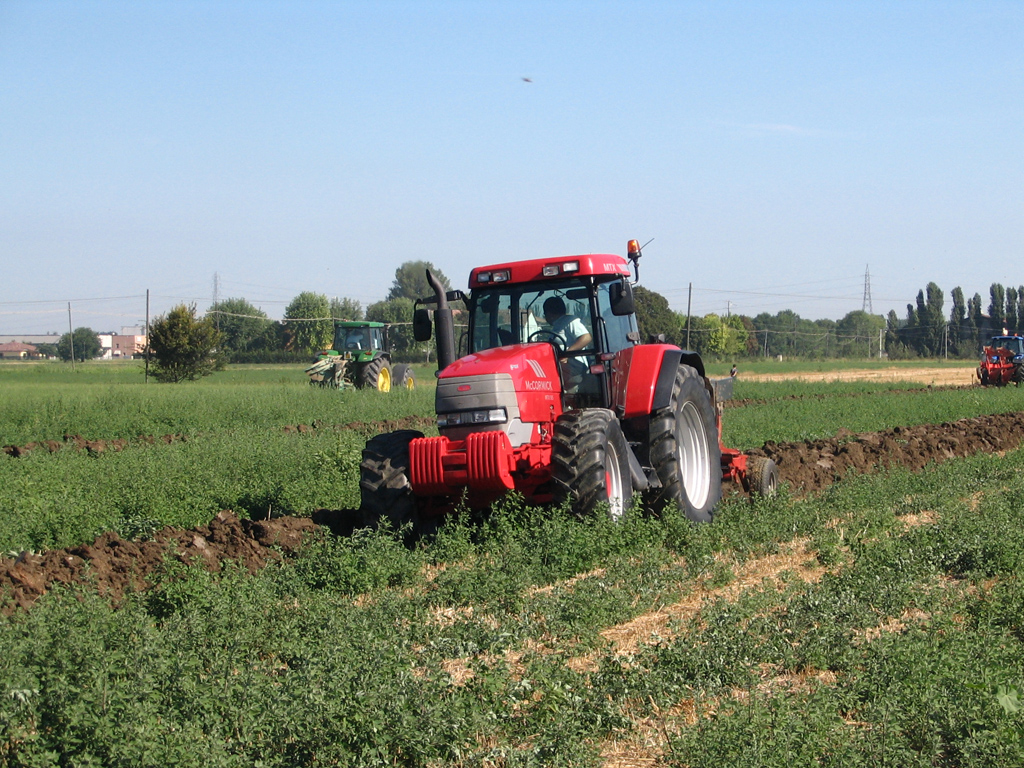 Gattatico RE 10/08/2008