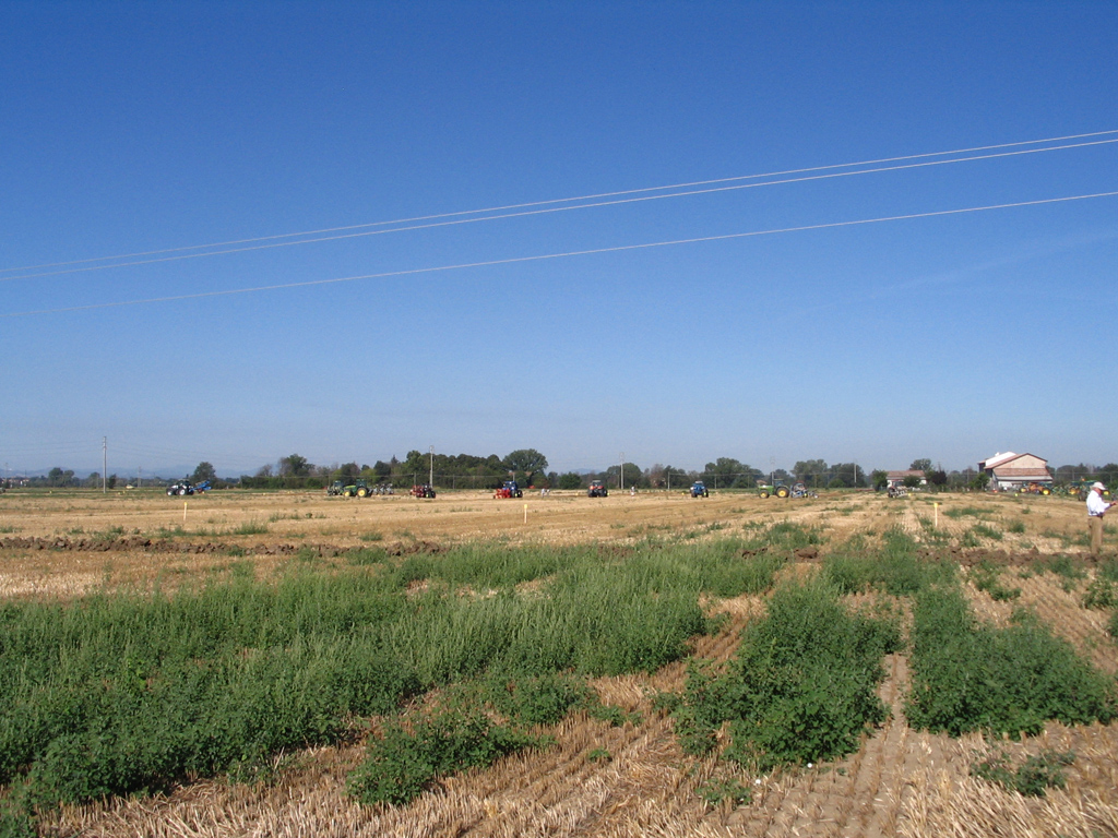 Gattatico RE 10/08/2008