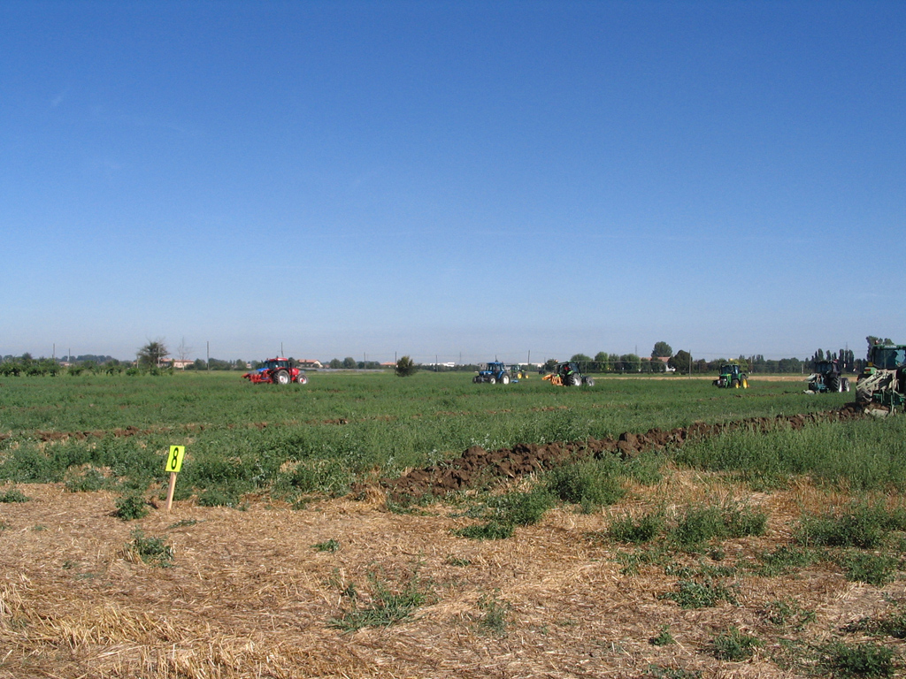 Gattatico RE 10/08/2008