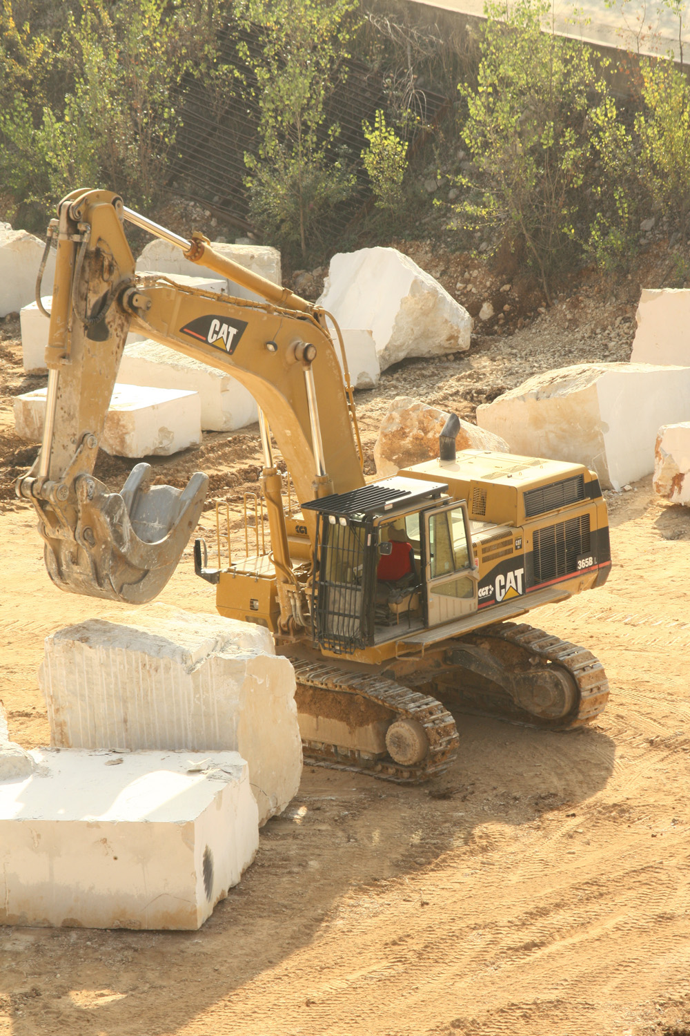 CAT 365B L