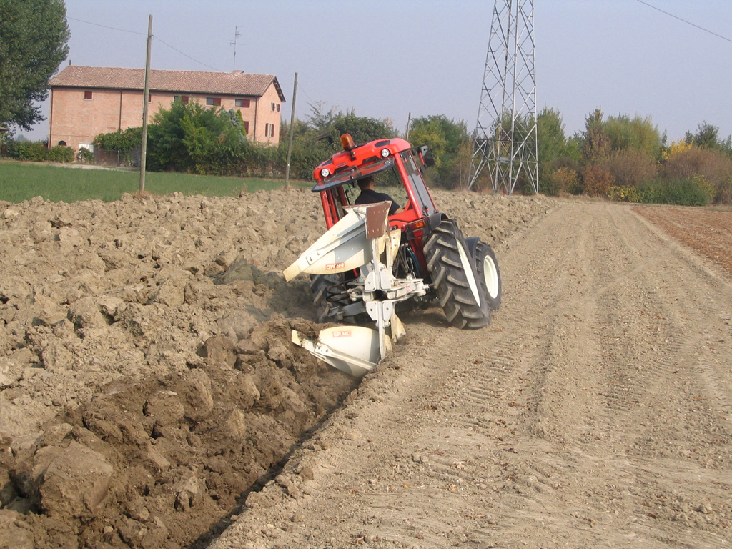 Prove Goldoni 10-10-2008