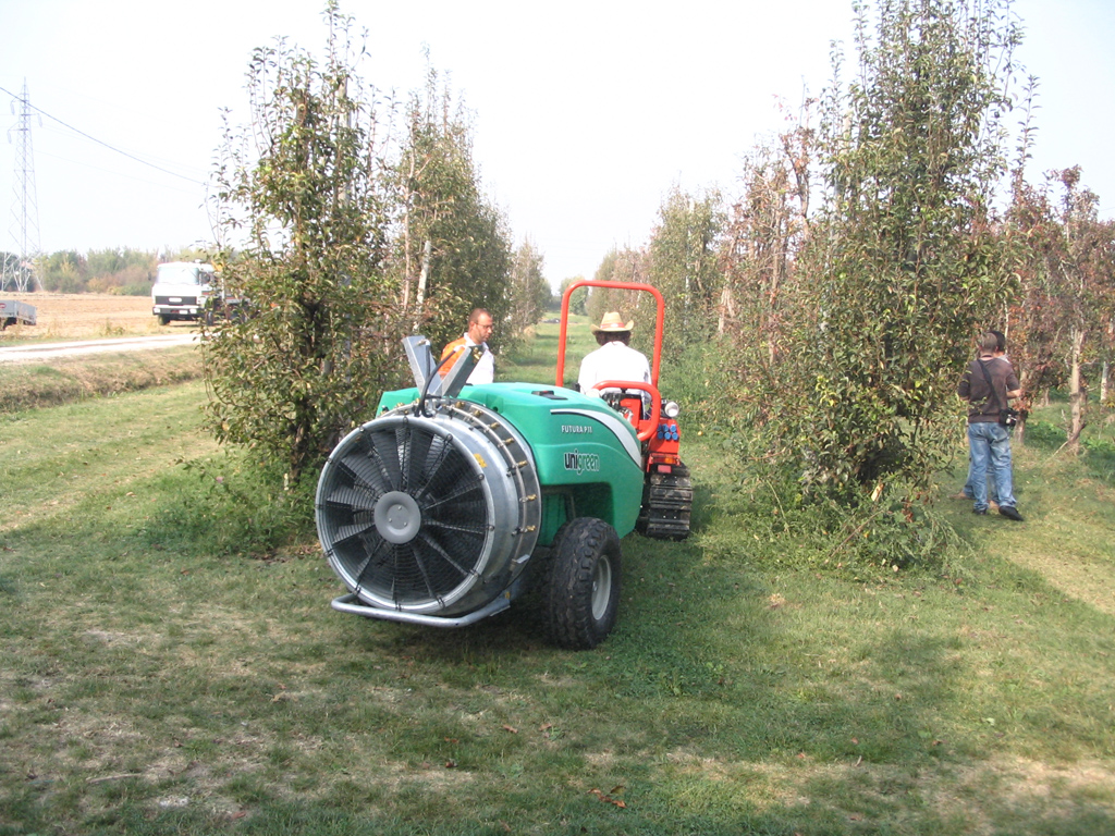 Prove Goldoni 10-10-2008
