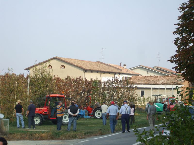 Prove Goldoni 10-10-2008