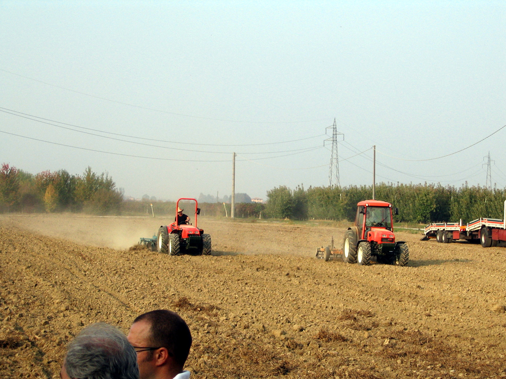 Prove Goldoni 10-10-2008
