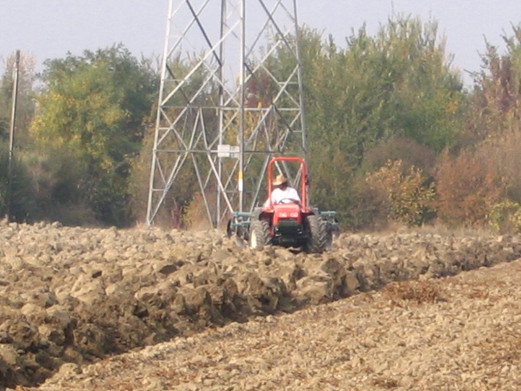 Prove Goldoni 10-10-2008