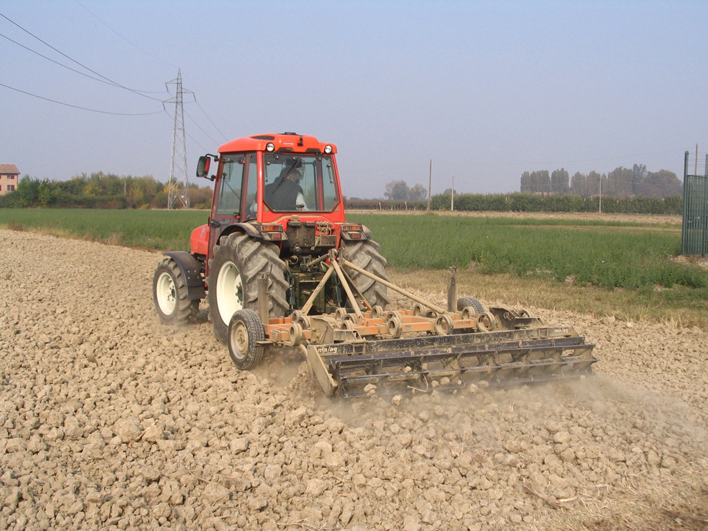Prove Goldoni 10-10-2008