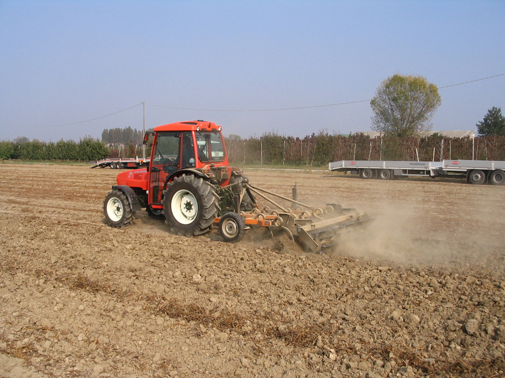 Prove Goldoni 10-10-2008