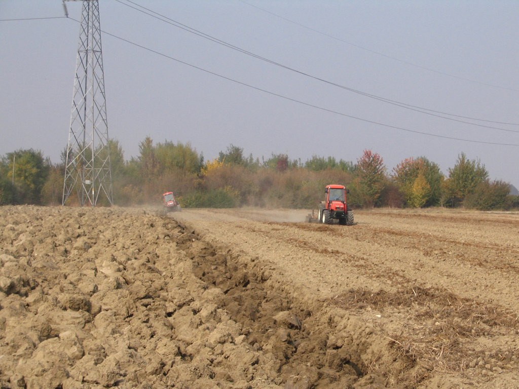 Prove Goldoni 10-10-2008