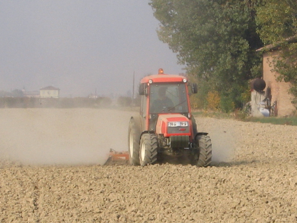 Prove Goldoni 10-10-2008