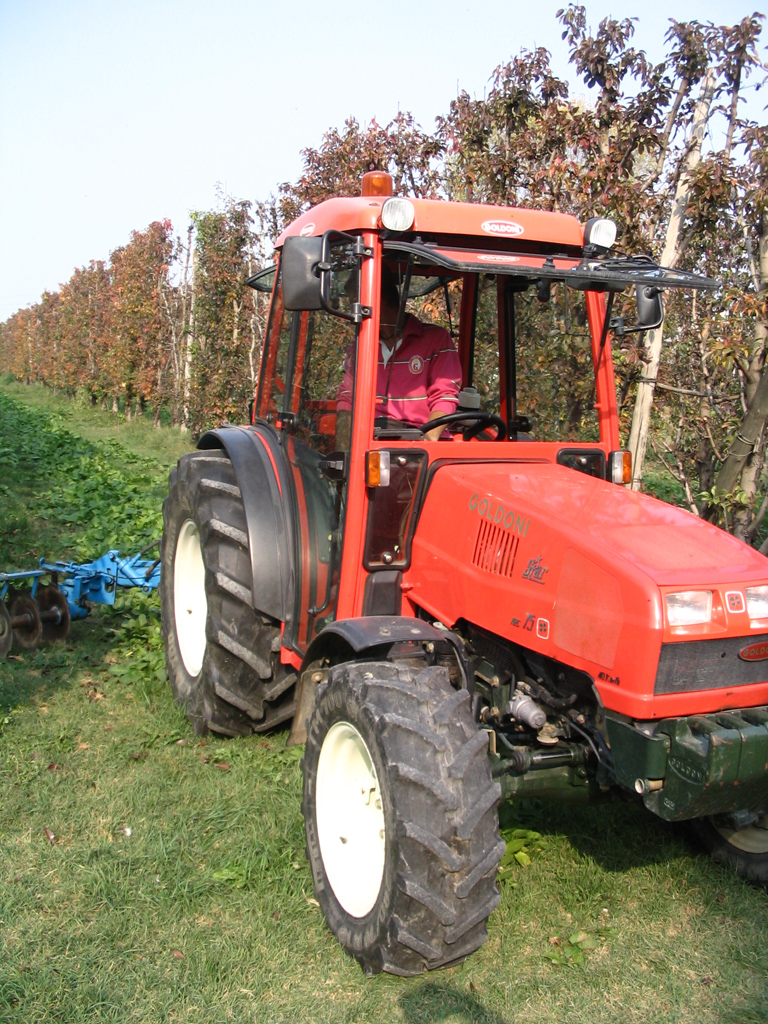 Prove Goldoni 10-10-2008
