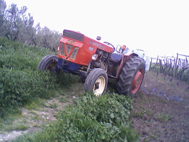 same centauro 55