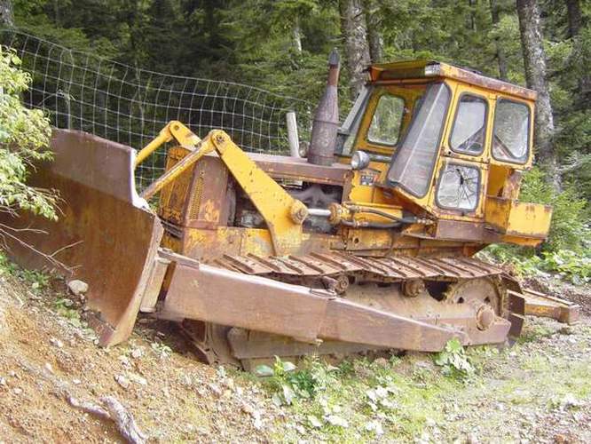 Kiener Bueffel K800
