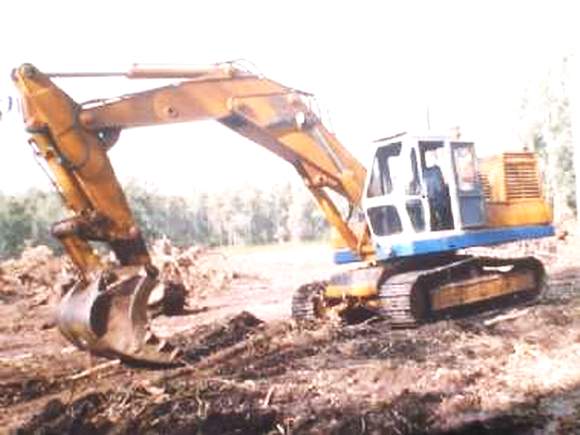 Tortone 230