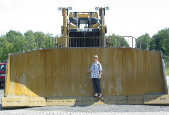 cat  d11