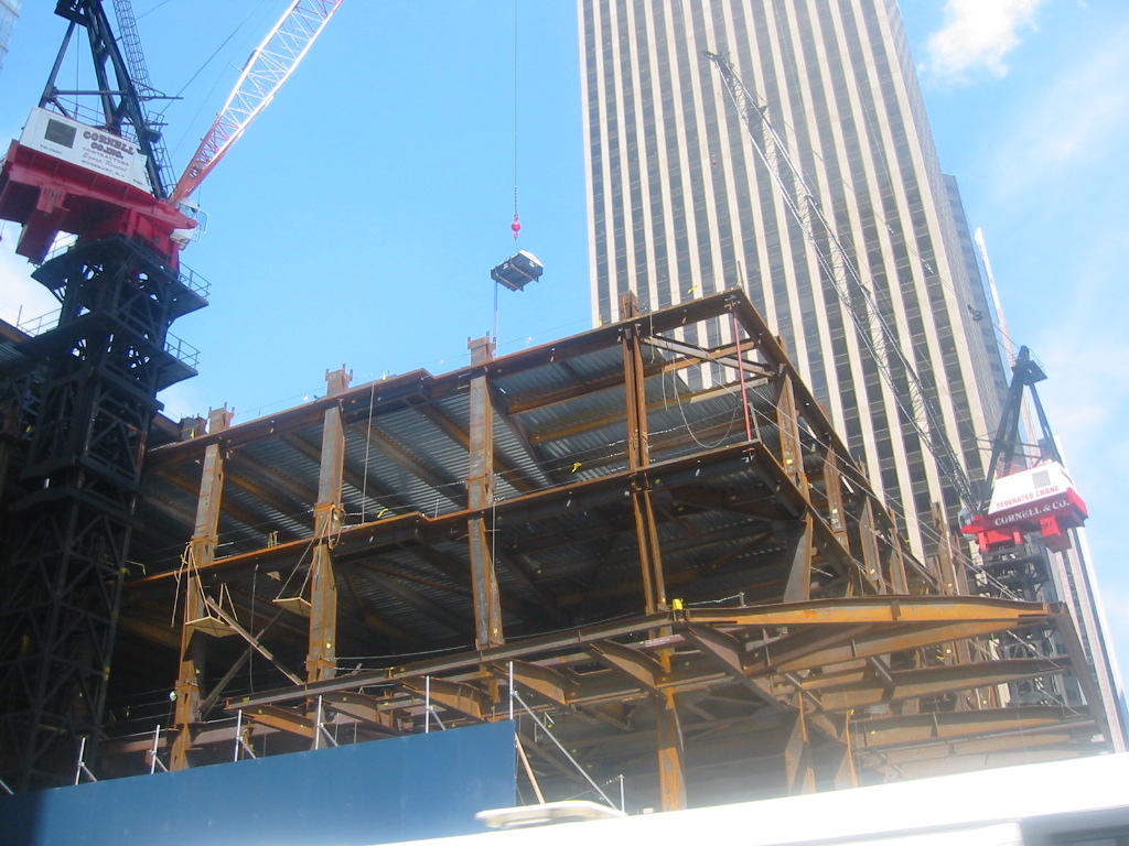 Gru sui grattaceli di New York