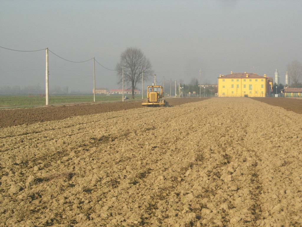 caterpillar D6d