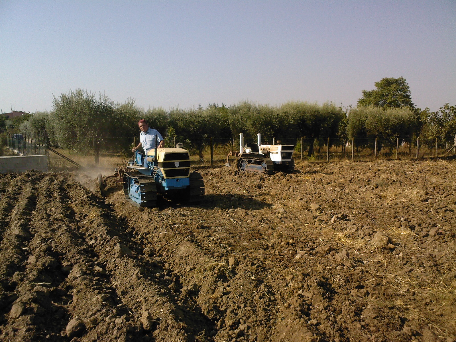 TOSELLI 350C +LAMBORGHINI C553