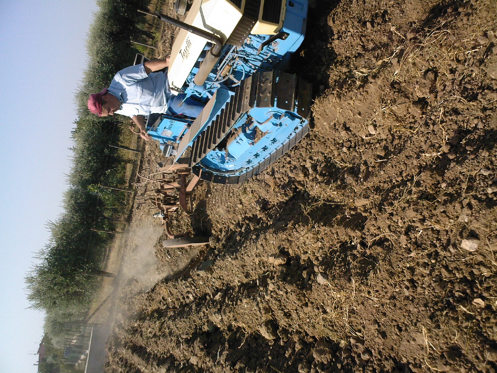 TOSELLI 350C IN ARATURA