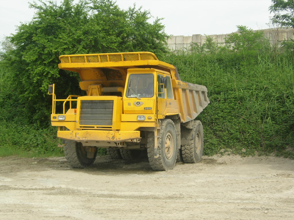 perlini
