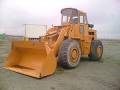 CALSA 300