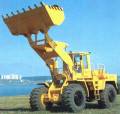 Moaz 40484