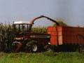 Hesston 7725