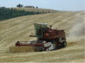 Laverda 3350 AL Hillside