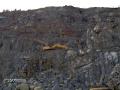 liebherr
