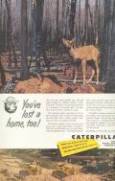 Caterpillar