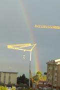 Gru con arcobaleno (1)