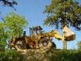 Liebherr