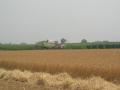 claas lexion 420