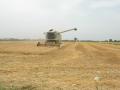 claas lexion 420