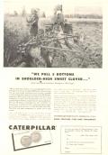 Caterpillar