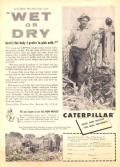 Caterpillar