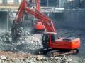 03-03-2007 - Zaxis 250