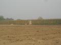 fiat allis FA150