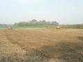 fiat allis FA150 e AD7