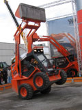 Locust_903