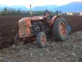 Fiat 80R